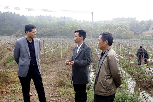 1618368340204636.jpg 2021040201.jpg