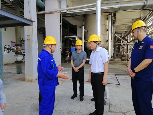 市領導率隊來瑞嘉督查安全生產工作