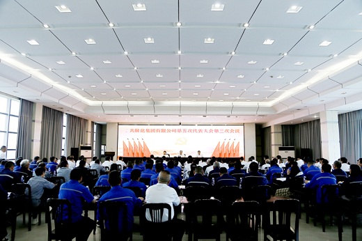 集團(tuán)公司召開黨代會補選兩名第五屆黨委委員