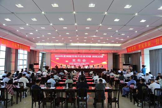 市地方企業(yè)兩個最新“強榜”發(fā)布    銅化集團均位居前列