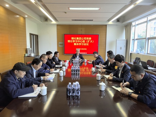 集團公司黨委傳達學習黨的二十屆四中全會精神