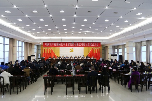 聚焦黨建引領　　聚力發展大局　　奮力譜寫高質量發展新篇章    公司第五次黨代會勝利召開