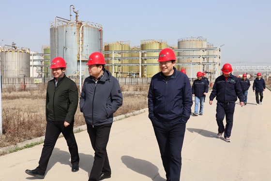 集團領導赴六國兩子公司調研指導工作